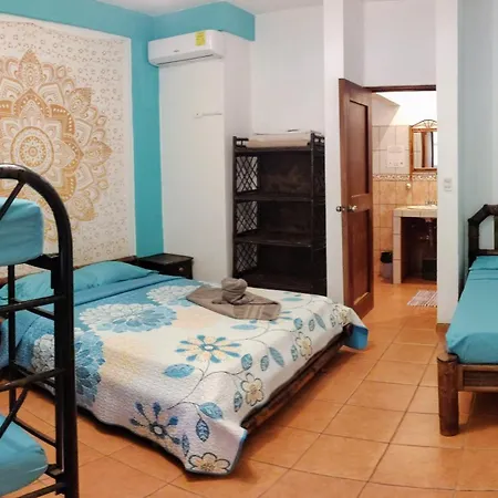 Cool Vibes Beach Hostel-3