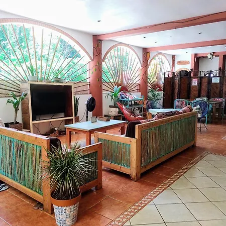 Cool Vibes Beach Hostel-2